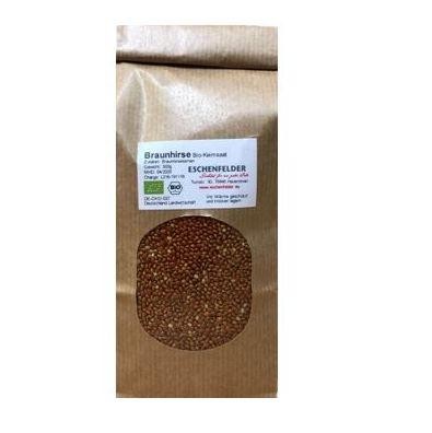Bio Keimsaat: Braunhirse