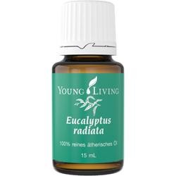 Young Living Ätherisches Öl: Eucalyptus radiata