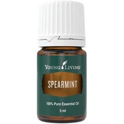 Young Living Ätherisches Öl: Spearmint (Grüne Minze) 5ml