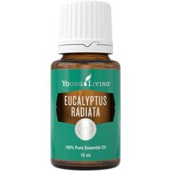Young Living Ätherisches Öl: Eucalyptus radiata 15ml