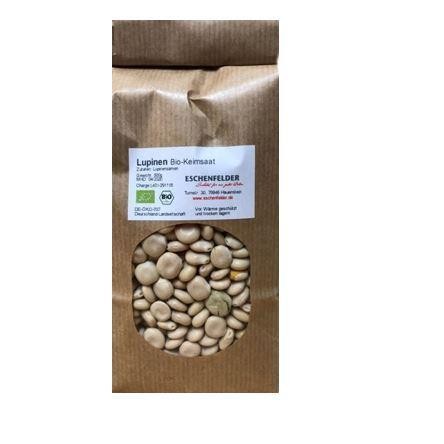 Bio Keimsaat: Weiße Süßlupine